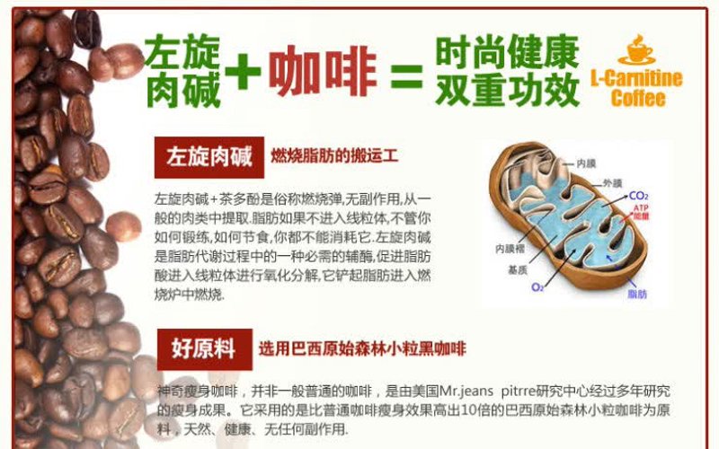 左旋肉碱白咖啡——燃脂与口感的完美融合